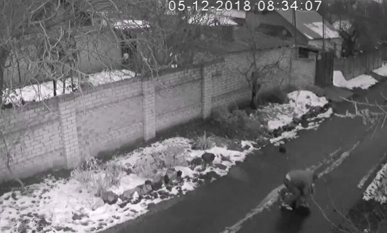 Нападение на женщин в Николаеве: в полицию поступило уже 4 заявления (видео) | Корабелов.ИНФО