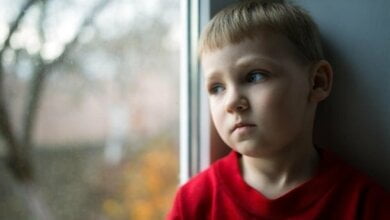 Закон о штрафах за травлю в школе вступил в силу | Корабелов.ИНФО