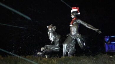 В Николаеве негодяи раздели Маугли  (видео) | Корабелов.ИНФО