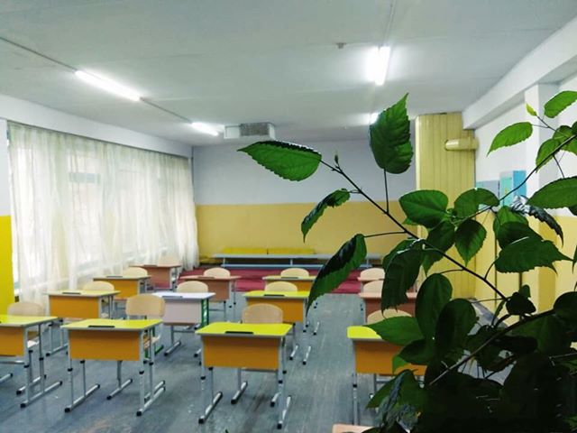 одноместные парты для первоклашек