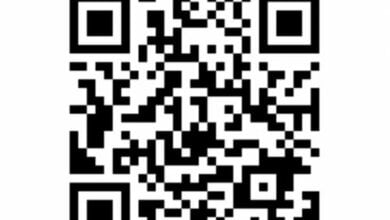 Для просунутих користувачів смартфонів створено перевірку даних у Державному реєстрі виборців за допомогою QR-коду | Корабелов.ИНФО image 1