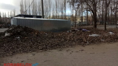 "Не доприбирали". Адміністрація відзвітувала про санітарне очищення в Корабельному районі з 14 по 18 січня | Корабелов.ИНФО image 3