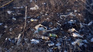 «Чуть поднимается ветер – все это добро разлетается», - житель Николаева о мусоре за «Таврией В» в Корабельном районе | Корабелов.ИНФО image 4