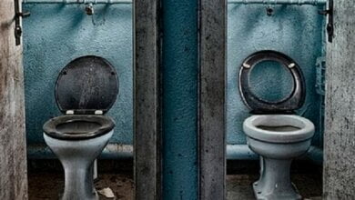 Окунали головой в унитаз: в России родители школьников устроили расправу над пятиклассником | Корабелов.ИНФО