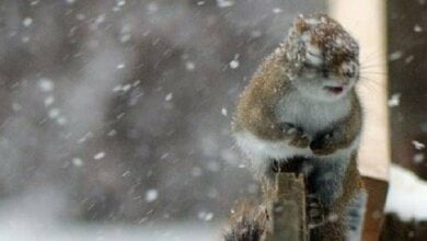 В Николаеве обещают существенное ухудшение погоды в ближайшие дни | Корабелов.ИНФО