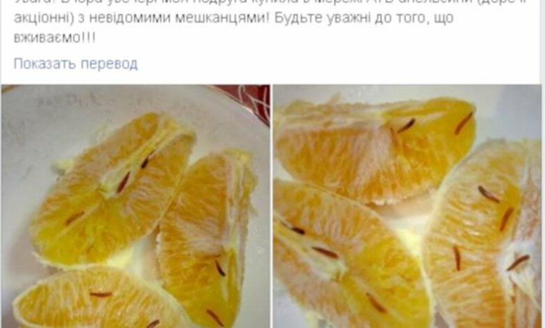 Жительница Николаева купила по акции апельсины с личинками. ФОТО | Корабелов.ИНФО