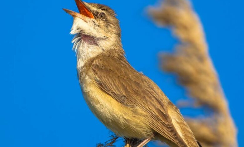 4 лютого погода в Миколаєві побила температурний рекорд! | Корабелов.ИНФО