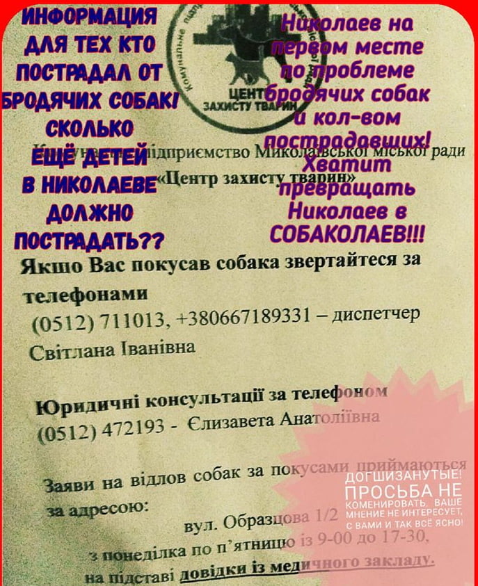 в случае укуса собакой