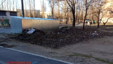 Цуканов заявил о неудовлетворительной работе подрядчиков при очистке и благоустройстве Корабельного района | Корабелов.ИНФО