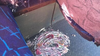 "Вы думаете, что за 5 грн можно насрать и молча выйти???!!!" - николаевский «маршрутчик» возмутился пассажиркой | Корабелов.ИНФО