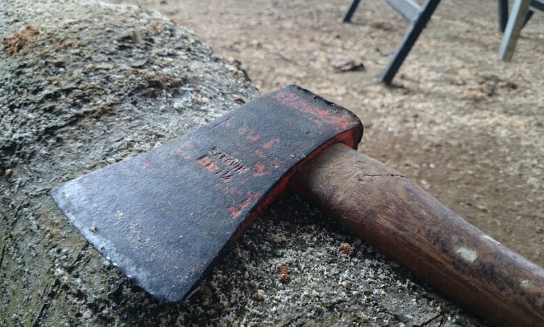 В Хабаровске 80-летняя пенсионерка расчленила и съела квартиранта из Украины | Корабелов.ИНФО