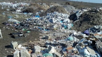 "Этих нелюдей нужно наказать", - жительница Корабельного района о превращении в свалку поля за "перегоном" | Корабелов.ИНФО image 1