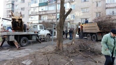 Прибирання сміття, ліквідація звалищ листя, обрізка та знесення дерев: у Корабельному районі триває санітарне очищення | Корабелов.ИНФО image 2