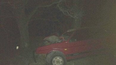 В Николаевской области ВАЗ слетел с дороги и врезался в дерево — погиб водитель | Корабелов.ИНФО