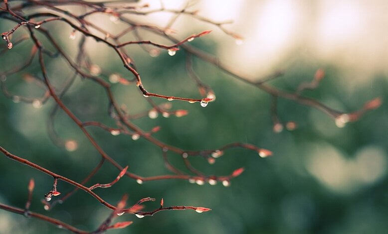 В понедельник в Николаеве будет дождь, а температура поднимется до +12 | Корабелов.ИНФО