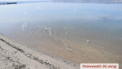 В Николаеве в реку вновь сбрасывают канализационные стоки (видео) | Корабелов.ИНФО
