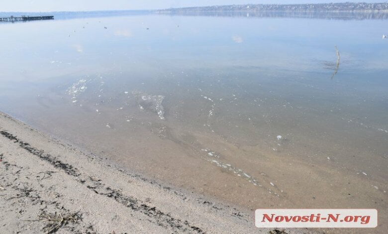 В Николаеве в реку вновь сбрасывают канализационные стоки (видео) | Корабелов.ИНФО
