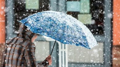 На Николаевщине резко ухудшится погода - ожидаются заморозки и мокрый снег | Корабелов.ИНФО