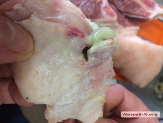 В Николаевском супермаркете «Таврия В» продали мясо с зеленой жижей внутри | Корабелов.ИНФО image 4