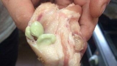 В Николаевском супермаркете «Таврия В» продали мясо с зеленой жижей внутри | Корабелов.ИНФО image 3