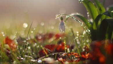 Завтра в Николаеве будет до +14° и дождь | Корабелов.ИНФО