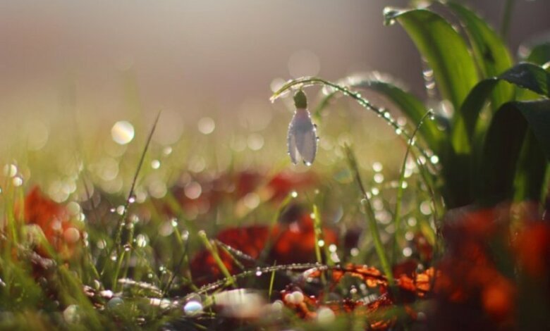 Завтра в Николаеве будет до +14° и дождь | Корабелов.ИНФО