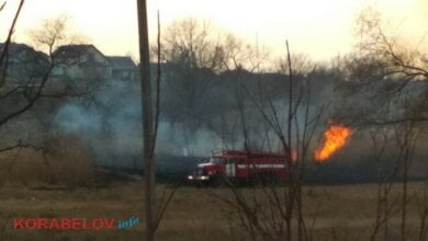 Пожар в Корабельном районе: в парке "Богоявленский" горел гектар камыша | Корабелов.ИНФО image 3