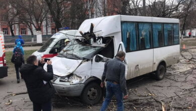 В Николаеве на "маршрутку" упало дерево, пострадали дети (видео) | Корабелов.ИНФО image 1