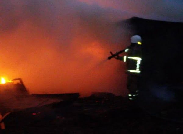 "Сложно потушить, когда такой сильный ветер": в Корабельном возле частного сектора горел камыш на берегу реки | Корабелов.ИНФО image 6