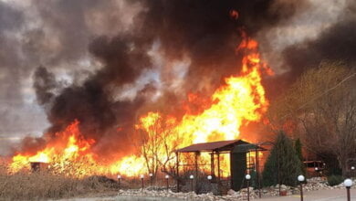 "Сложно потушить, когда такой сильный ветер": в Корабельном возле частного сектора горел камыш на берегу реки | Корабелов.ИНФО image 4