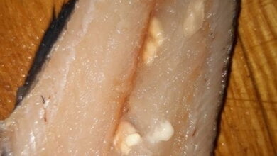 "Разрезала и обомлела": в Корабельном районе Николаева продается рыба с паразитами (ВИДЕО) | Корабелов.ИНФО