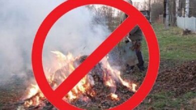 «Тягне за собою відповідальність», - мешканцям Корабельного району нагадали про заборону спалювання опалого листя | Корабелов.ИНФО