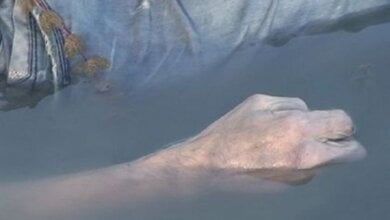 Пішов купатись напідпитку: на Миколаївщині знайшли тіло 15-річного ліцеїста | Корабелов.ИНФО