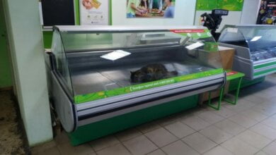 "Наша ряба" продает живое мясо", - жительница Корабельного района пожаловалась на кота в витрине | Корабелов.ИНФО