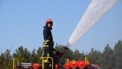 Рятувальники Корабельного району тренувалися гасити пожежі в Балабанівському лісі | Корабелов.ИНФО image 2