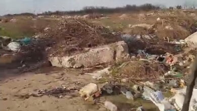 "Уже давненько туда муд@ки свозят мусор": жители возмущены разрастающейся свалкой в Галицыново (Видео) | Корабелов.ИНФО