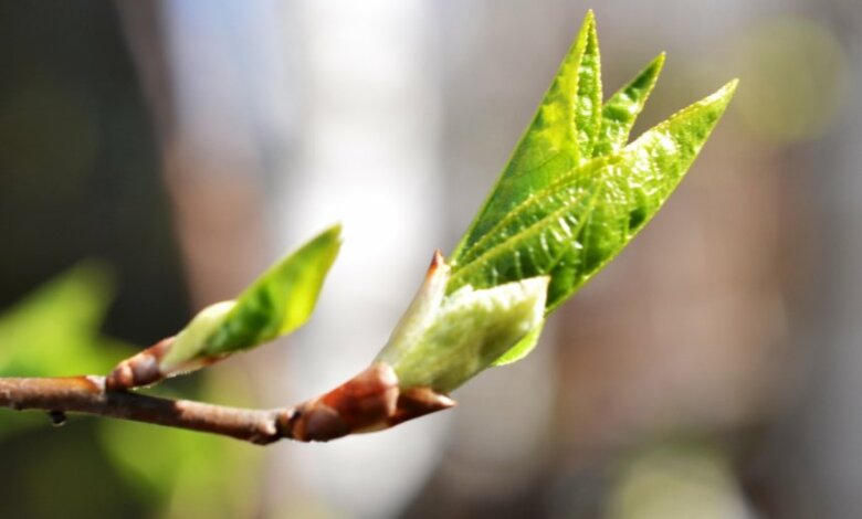 Завтра в Николаеве потеплеет до +22° | Корабелов.ИНФО