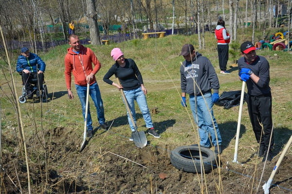 работы в парке "Богоявленский"
