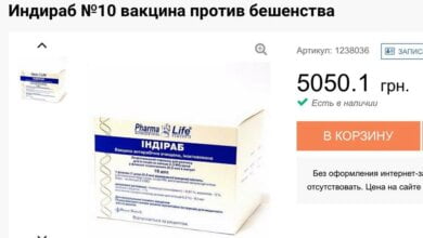 Вас укусила собака? Как получить от города бесплатно дорогую вакцину | Корабелов.ИНФО