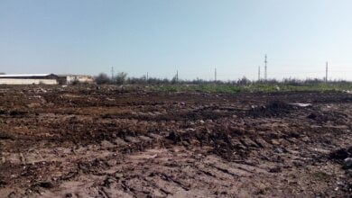 Адміністрація Корабельного району заявила про ліквідацію двох стихійних сміттєзвалищ | Корабелов.ИНФО