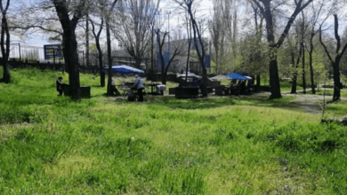 «И так - из года в год», - житель Корабельного района возмущен торговлей на территории сквера | Корабелов.ИНФО image 2