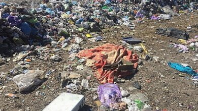 Бочку с головой нашли в реке: по подозрению в убийстве женщины в Николаеве задержали ее сына-гражданина РФ | Корабелов.ИНФО