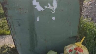 Активисты обещают "завалить" руководство Корабельного района мусором, если его не уберут с территории парка "Богоявленский" | Корабелов.ИНФО