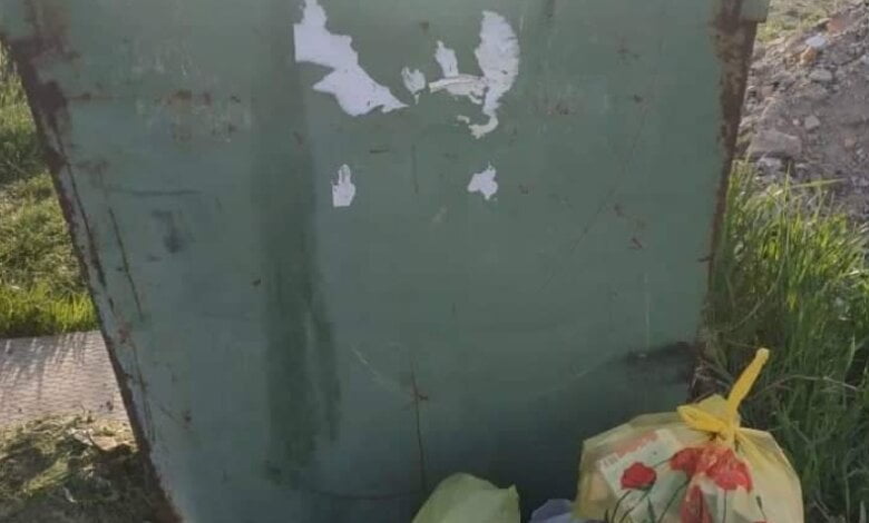 Активисты обещают "завалить" руководство Корабельного района мусором, если его не уберут с территории парка "Богоявленский" | Корабелов.ИНФО