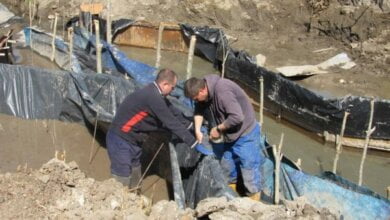 работы на роднике