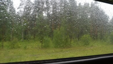 Пассажирка поезда «Николаев-Киев» возмутилась, что во время дождя вода затекала прямо в вагон | Корабелов.ИНФО