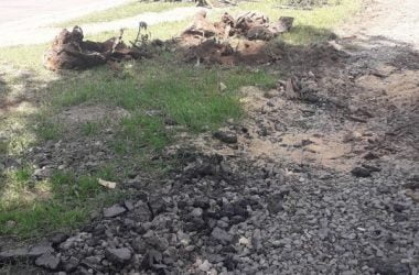 У ДК "Корабельный" рубят деревья - возмущены местные жители | Корабелов.ИНФО image 2