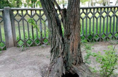 Правда про тотальну аварійність. Меру Миколаєва Сєнкевичу "розпил" мільйонів важливіше, ніж життя, здоров’я та майно миколаївців? | Корабелов.ИНФО image 4