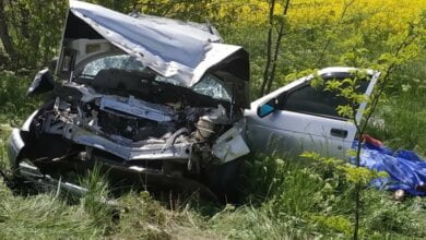 Пожилая пара ехала на дачу: на Николаевщине столкнулись фура и «ВАЗ», погибли два человека | Корабелов.ИНФО image 1