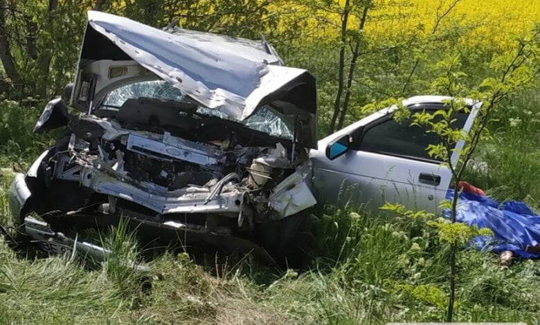 Пожилая пара ехала на дачу: на Николаевщине столкнулись фура и «ВАЗ», погибли два человека | Корабелов.ИНФО image 1